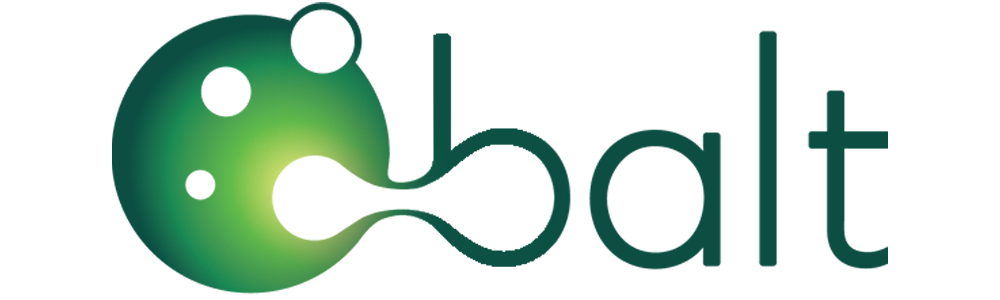 BALT Logo